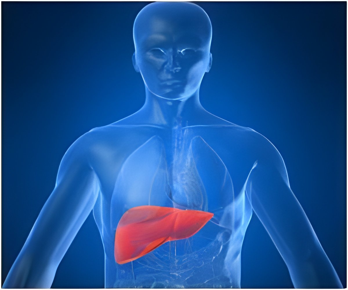 Role of Macrophages in Fatty Liver Disease Outcomes